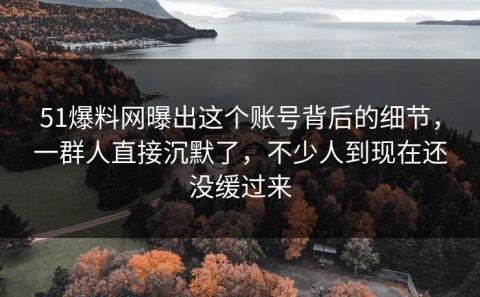 51爆料网曝出这个账号背后的细节，一群人直接沉默了，不少人到现在还没缓过来