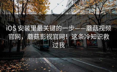 iOS 安装里最关键的一步——蘑菇视频官网，蘑菇影视官网！这条冷知识救过我