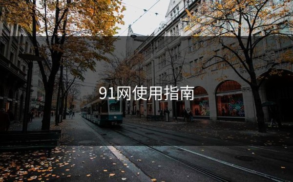 91网使用指南